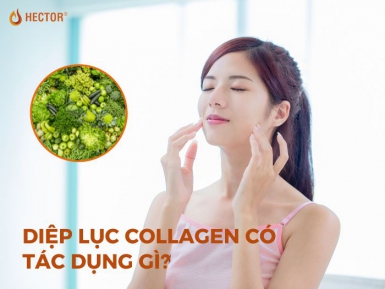 Bật mí cách thăng hạng nhan sắc với diệp lục collagen