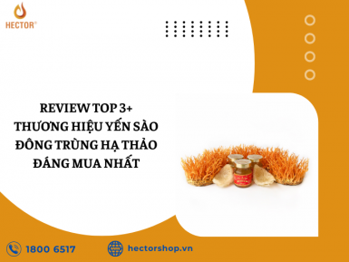 Top 3 Thương Hiệu Yến Sào Đông Trùng Hạ Thảo Đáng Mua Nhất