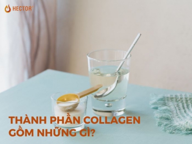 Thành phần collagen bao gồm những gì? Chiết xuất từ đâu?