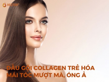 Bí quyết sử dụng dầu gội collagen tại nhà chẳng cần đến spa