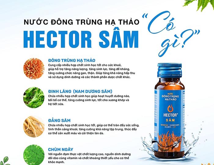 Thành phần dược liệu trong Hector Sâm