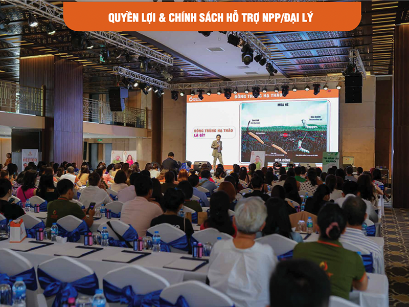 Chính sách đại lý Hector