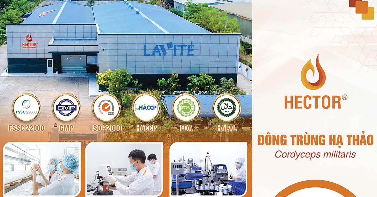 Hector – Thương Hiệu Đông Trùng Hạ Thảo Chuẩn Quốc Tế Của Lavite