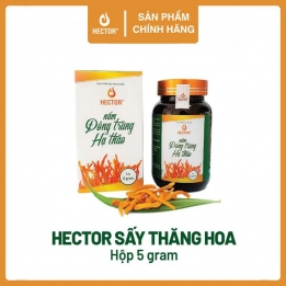 Đông trùng hạ thảo Hector sấy thăng hoa