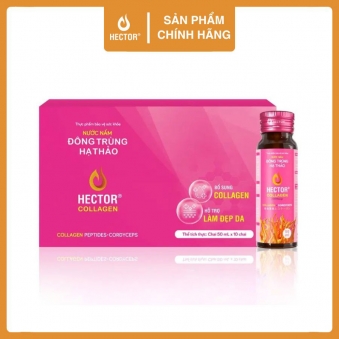 Hector Collagen đông trùng hạ thảo