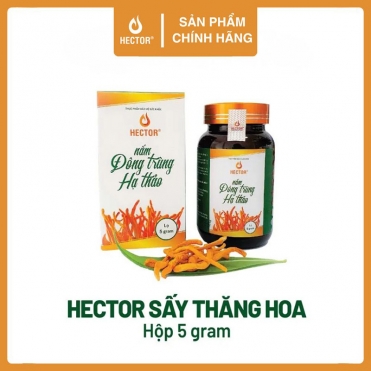 Đông trùng hạ thảo Hector sấy thăng hoa