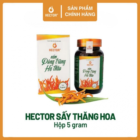 Đông trùng hạ thảo Hector sấy thăng hoa