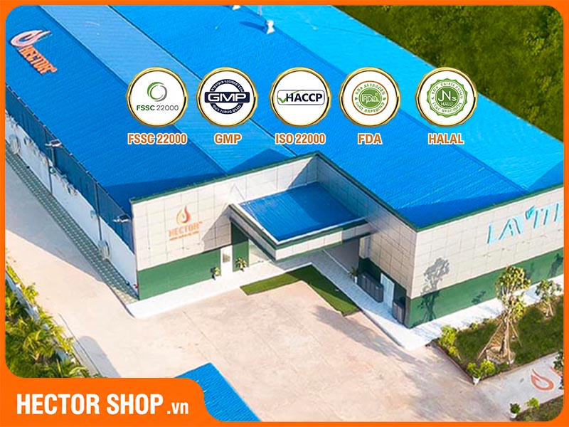 Đông trùng hạ thảo Hector có tốt không?