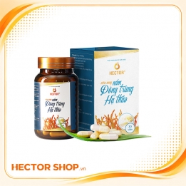 Viên đông trùng hạ thảo Hector