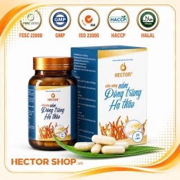 Viên đông trùng hạ thảo Hector