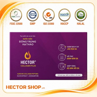 Nước nấm đông trùng hạ thảo Hector Collagen Plus