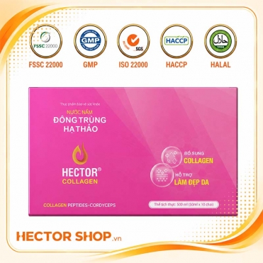 Hector Collagen đông trùng hạ thảo