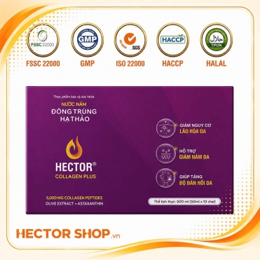 Nước nấm đông trùng hạ thảo Hector Collagen Plus