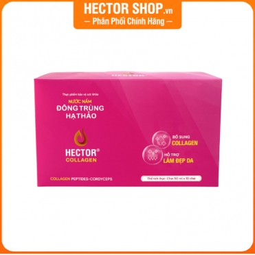 Nước đông trùng hạ thảo Hector Collagen