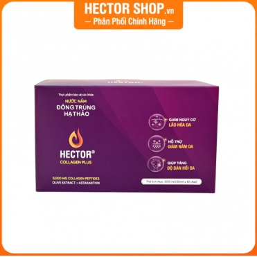 Nước đông trùng hạ thảo Hector Collagen Plus