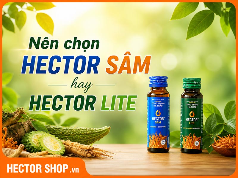 Người Lớn Tuổi Nên Chọn Hector Sâm Hay Hector Lite?