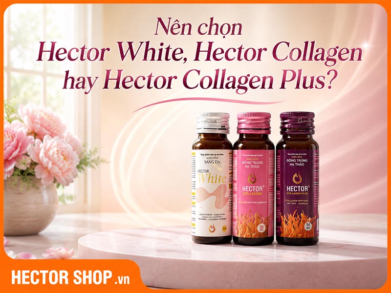 Nên Chọn Hector White, Hector Collagen Hay Hector Collagen Plus?
