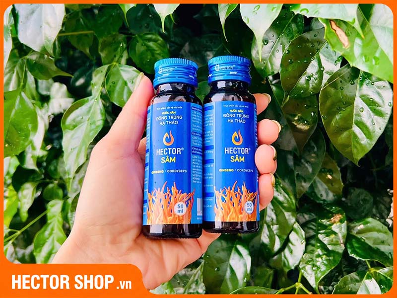 Cách Kiểm Tra Sản Phẩm Hector Chính Hãng