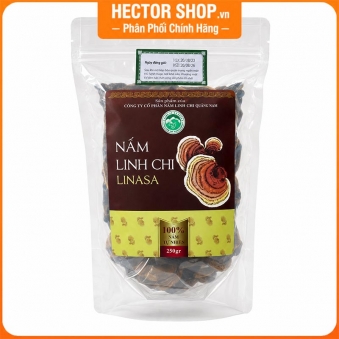 Nấm linh chi rừng tự nhiên