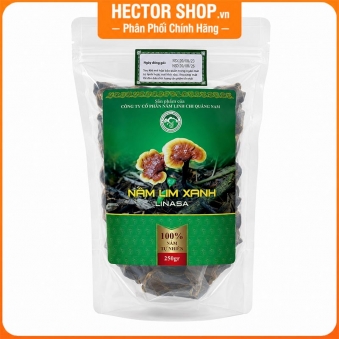 Nấm lim xanh rừng tự nhiên