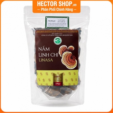 Nấm linh chi rừng tự nhiên