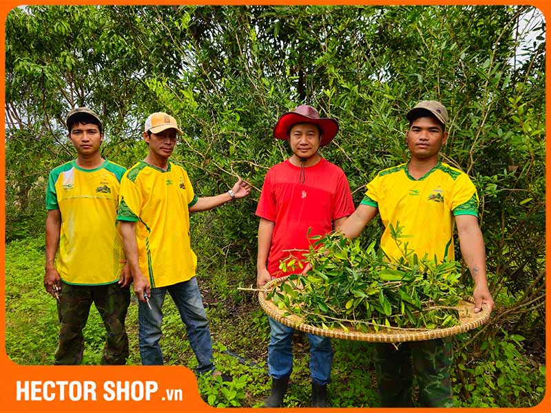 Giới Thiệu Về Thương Hiệu XATAPHA