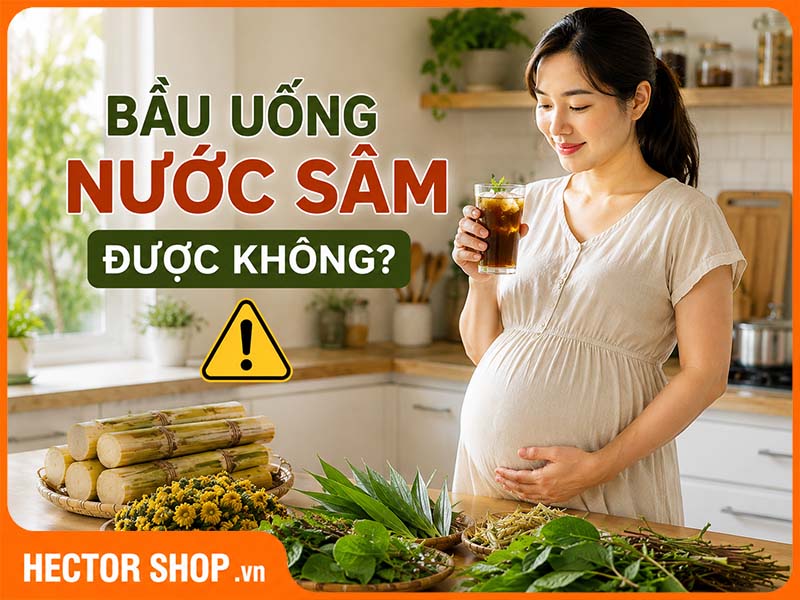 Bầu Uống Nước Sâm Được Không? Cần Xem Kỹ Thành Phần