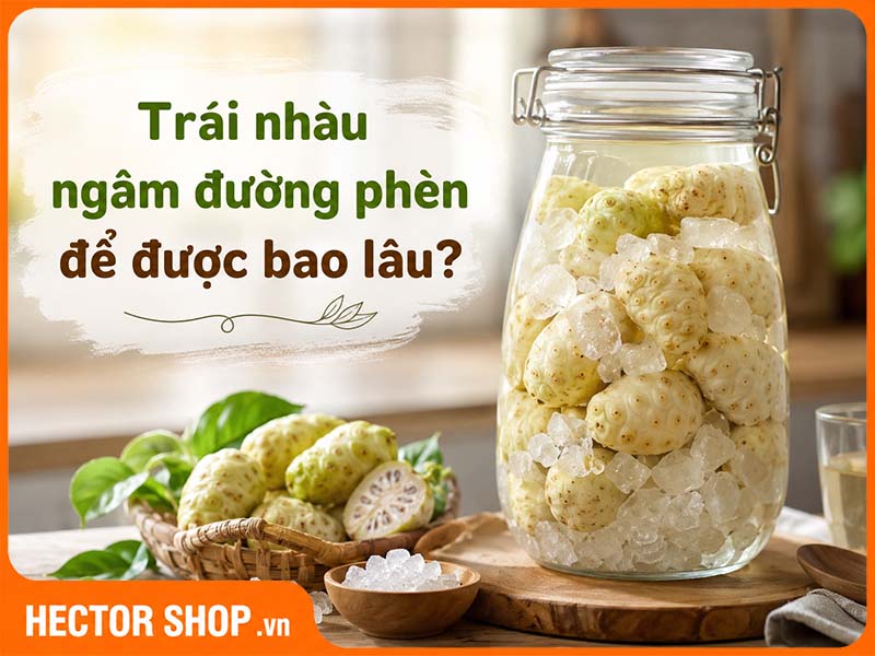 Trái Nhàu Ngâm Đường Để Được Bao Lâu?