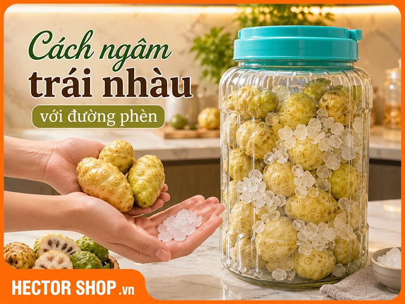Cách Ngâm Trái Nhàu Đường Phèn Đúng Cách, Hạn Chế Bị Hỏng