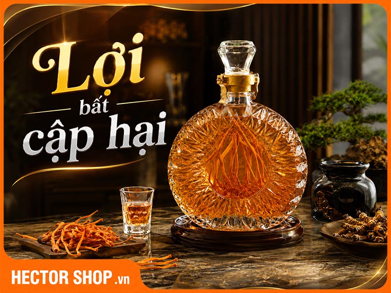 Rượu Đông Trùng Hạ Thảo: Lợi Bất Cập Hại Chớ Lạm Dụng