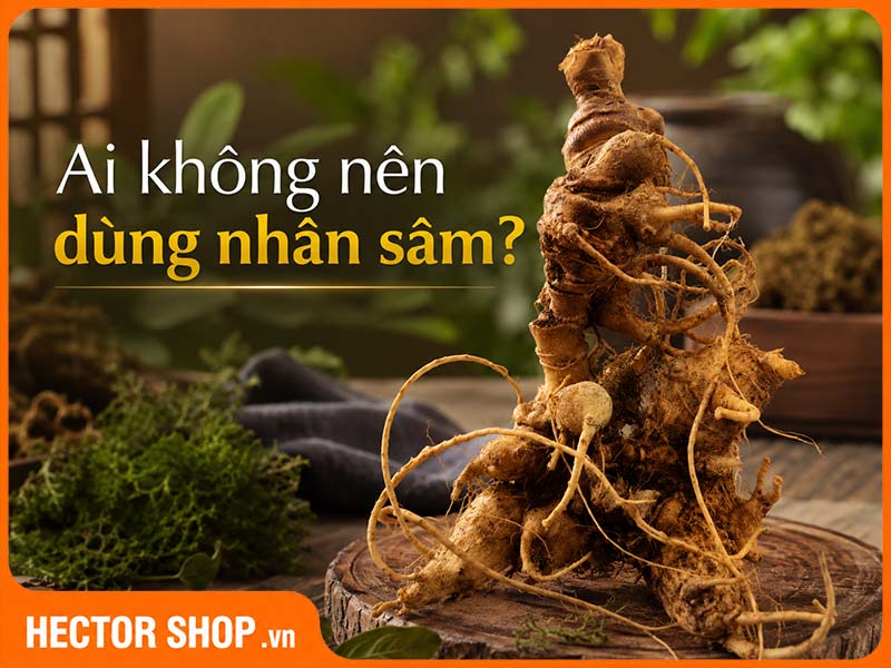 Đối Tượng Không Nên Dùng Nhân Sâm Là Những Ai?