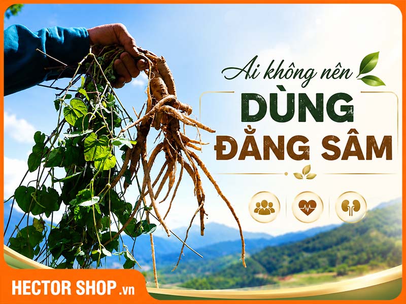 Ai Không Nên Dùng Đẳng Sâm? 6 Nhóm Cần Thận Trọng