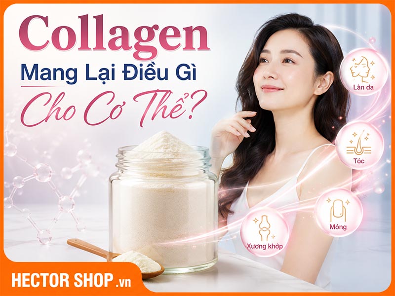 Collagen Có Tác Dụng Gì? Hiểu Đúng Trước Khi Uống