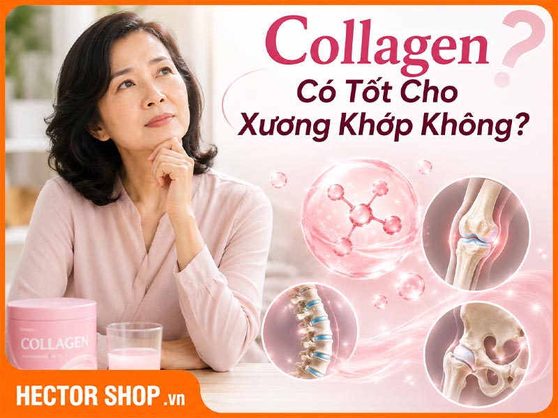Collagen Có Tốt Cho Xương Khớp Không? Cần Đúng Loại