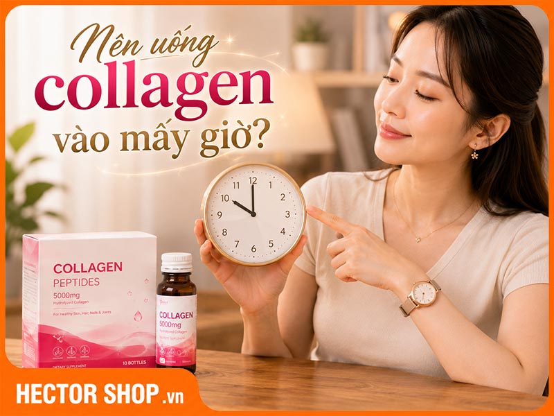 Uống Collagen Vào Lúc Nào Tốt Nhất? Sáng Hay Tối?