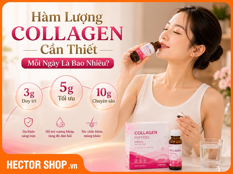 Mỗi Ngày Nên Uống Bao Nhiêu Collagen Là Đủ?