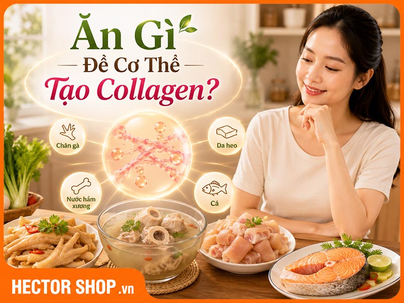 Ăn Gì Để Bổ Sung Collagen? Những Thực Phẩm Nên Ưu Tiên