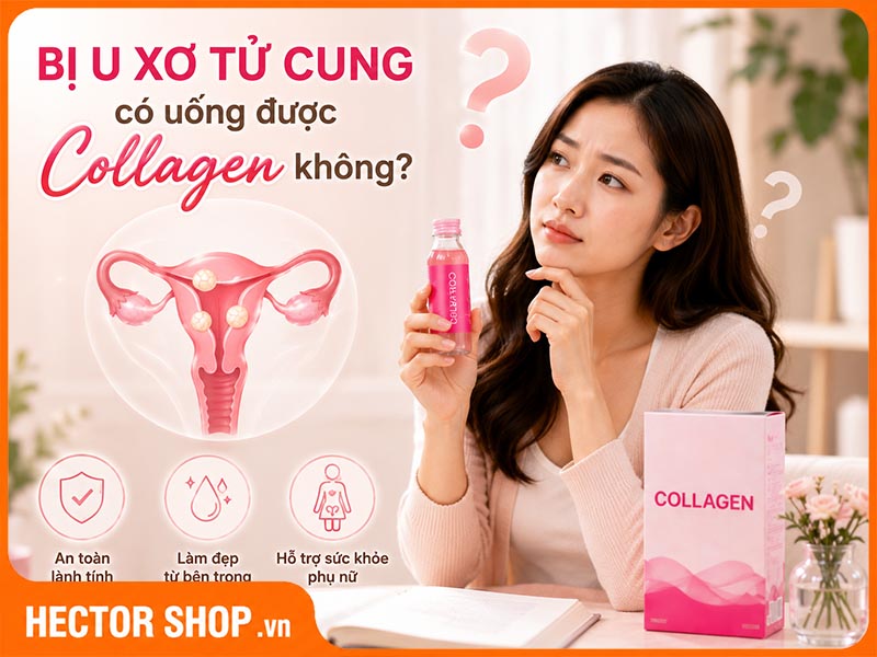 Bị U Xơ Tử Cung Có Uống Được Collagen Không? Chuyên Gia Đáp