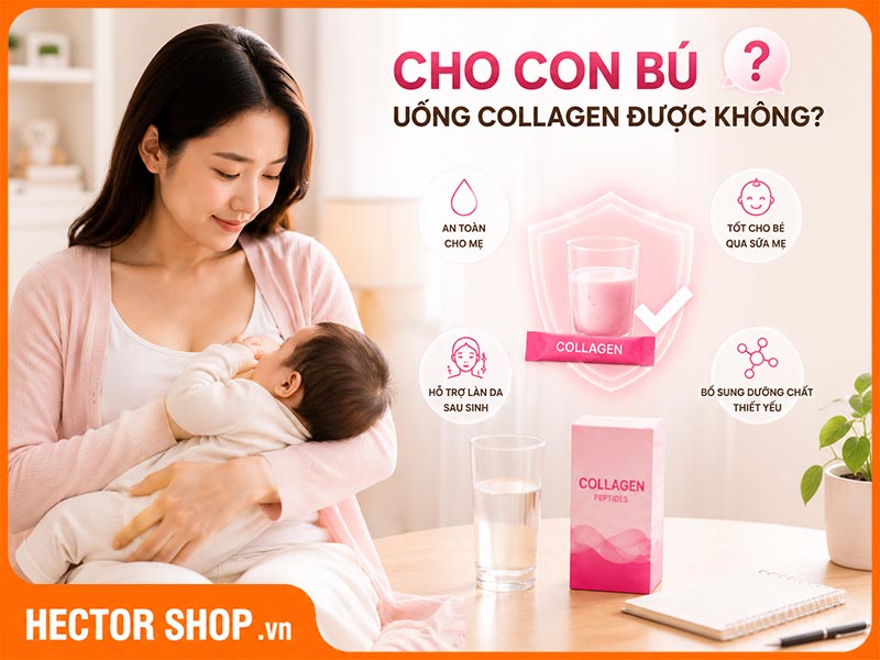 Cho Con Bú Uống Collagen Được Không? Chuyên Gia Giải Đáp