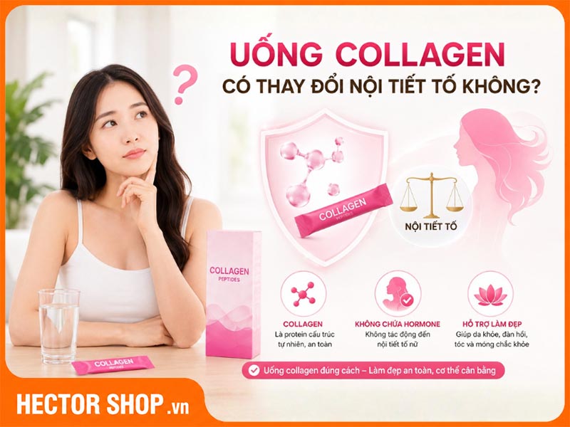 Uống Collagen Có Làm Thay Đổi Nội Tiết Không?