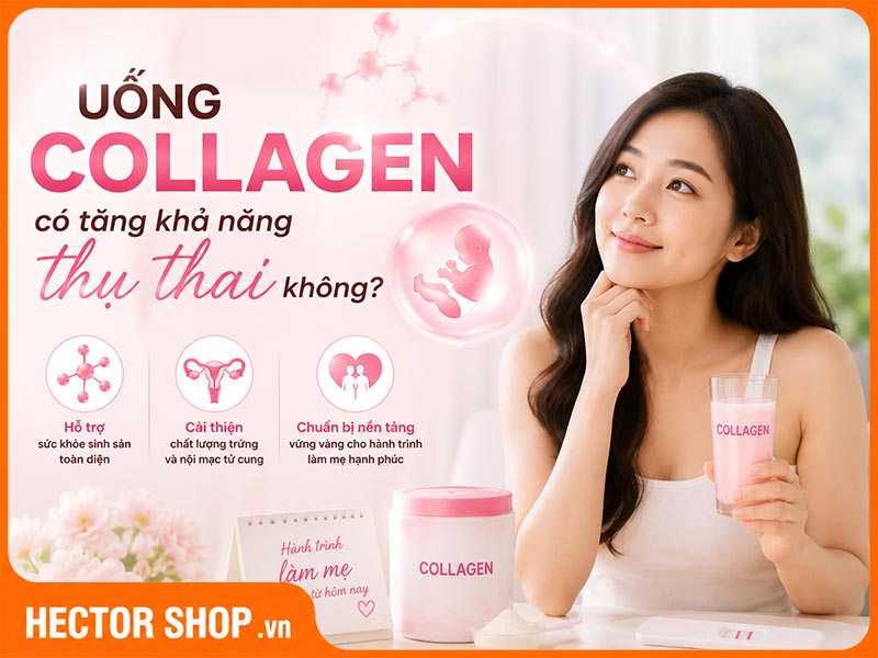 Sự Thật Uống Collagen Có Tăng Khả Năng Thụ Thai Không?