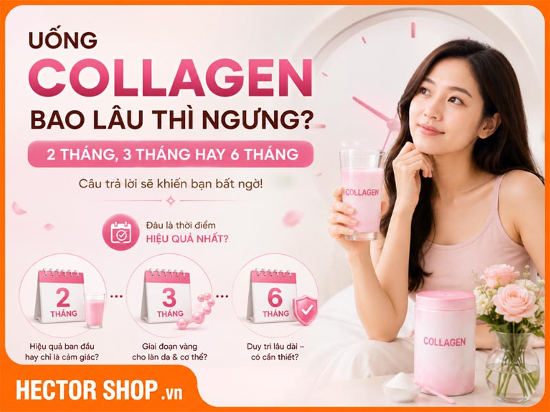 Uống Collagen Bao Lâu Thì Ngưng? Liệu Trình Chuẩn Khoa Học