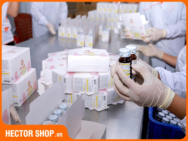 Vì Sao Collagen Việt Nam Ngày Càng Được Tin Dùng?