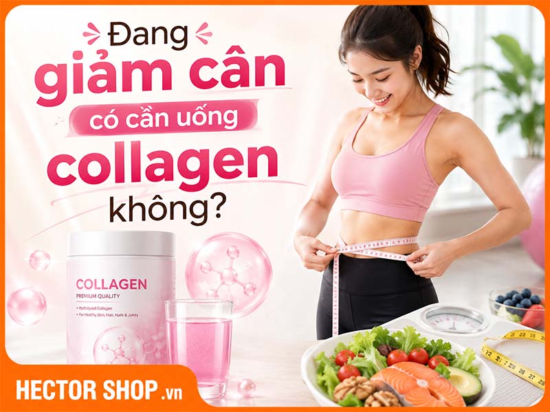 Giảm Cân Có Cần Uống Collagen Không?