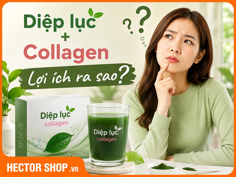 Diệp Lục Collagen: Có Nên Kết Hợp Detox Và Chống Lão Hóa?