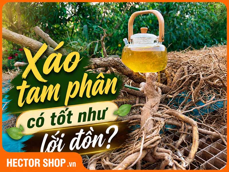 Xáo Tam Phân Có Tốt Không? Đánh Giá Hiệu Quả Từ Chuyên Gia