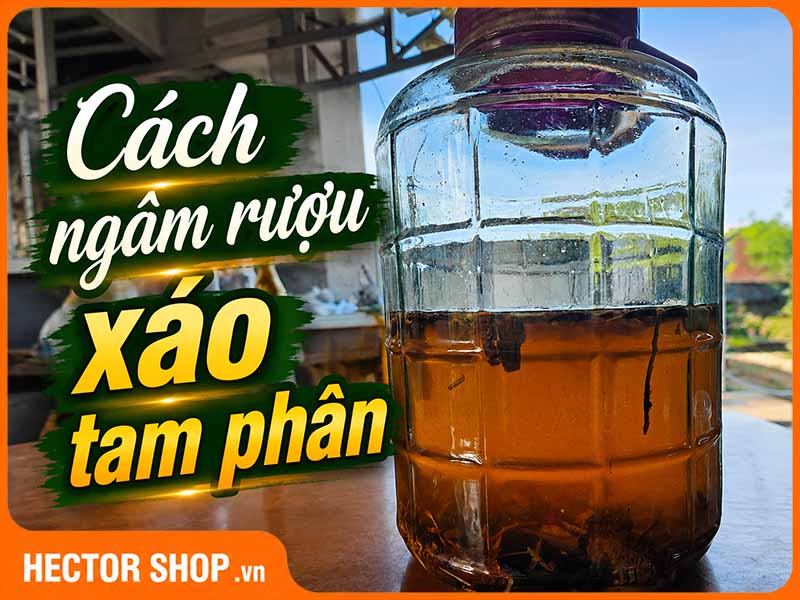 Cách Ngâm Rượu Xáo Tam Phân Đúng Chuẩn Thơm Ngon