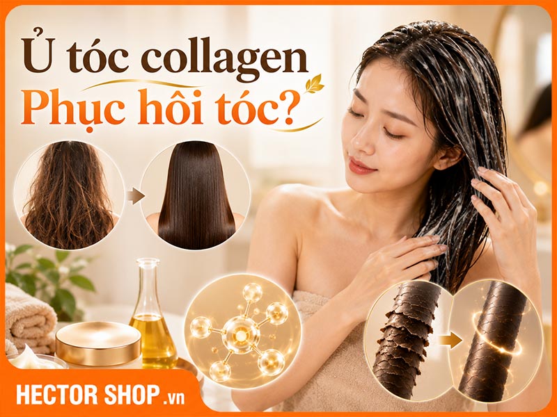 Ủ Tóc Collagen Có Giúp Phục Hồi Tóc Hư Tổn?