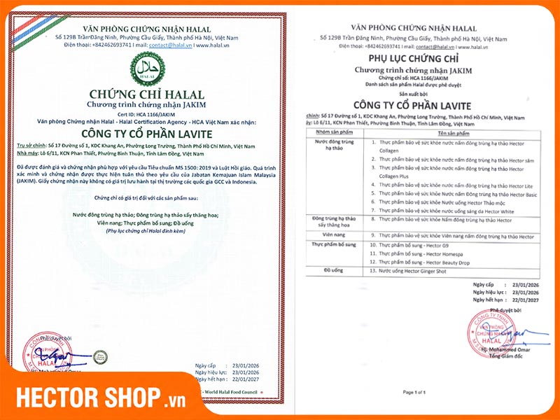 Tiêu Chuẩn Halal Là Gì? Hector Đạt Tiêu Chuẩn Này Như Thế Nào?