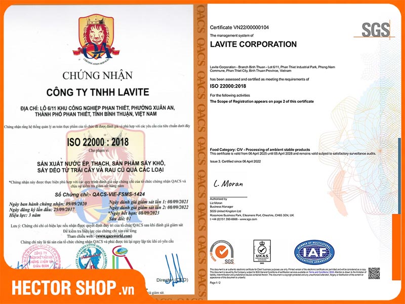 Tiêu Chuẩn ISO 22000 Là Gì? Nền Tảng Chất Lượng Của Hector